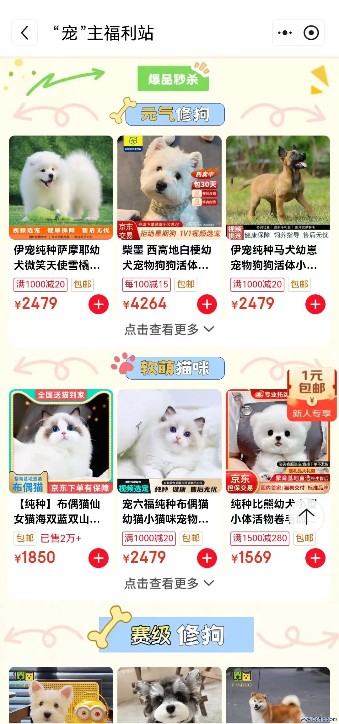 图源:京东
